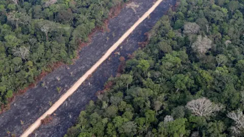 REUTERS/Ueslei Marcelino  Road in amazon