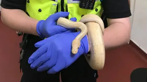 West Midlands Police Snake held by police officer