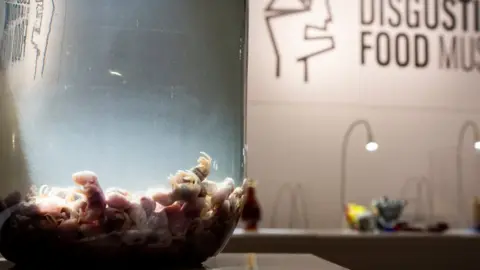 Disgusting Food Museum Wine with dead mice inside