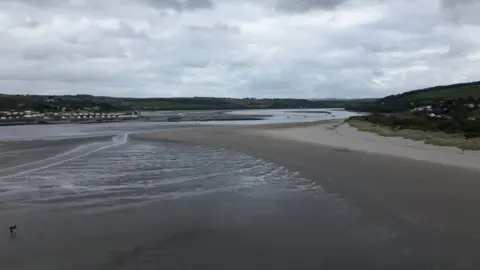 Tony Jolliffe/BBC Teifi estuary