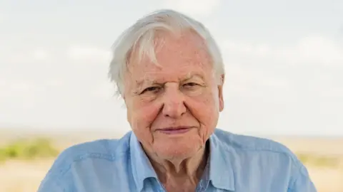 PA Media Sir David Attenborough