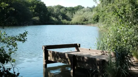 John Winder/Geograph Cannop Ponds