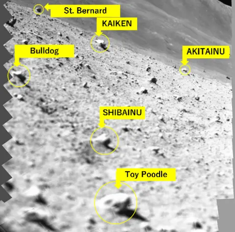 Jaxa A lunar surface scan mosaic image captured by the Slim