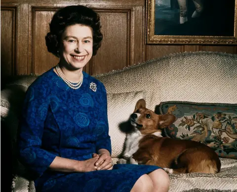 Fox Photos/Hulton Archive/Getty Images Queen Elizabeth II with one of her corgis at Sandringham, 1970