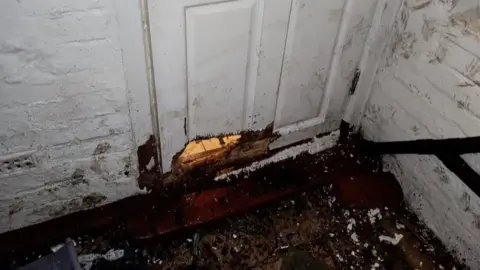 Badger Trust Isle of Wight House damage