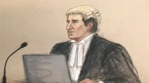 Julia Quenzler Mrs Rooney's barrister David Sherborne set out his closing argument on Thursday morning