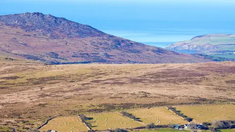 Getty Images Preseli Hills