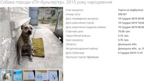 War in Ukraine - Military Underwear of the Soldier of the Armed Forces of  Ukraine - Online auction / Online bidding - Price - OneBid
