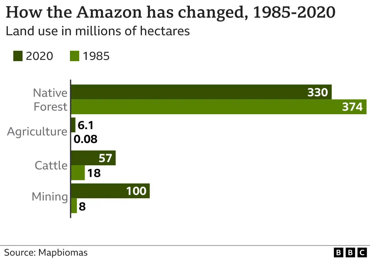 BBC Graphic showing land use in Amazon over time