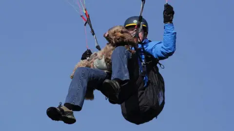Amy Jones Henry the cockapoo paragliding