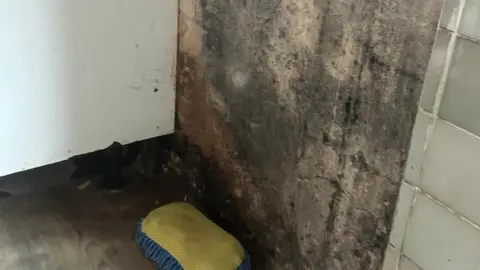 Peterborough City Council Black mould under a cupboard