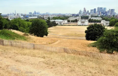 Grant Falvey/LNP/REX/Shutterstock Burnt dry grass on Greenwich Park in London.