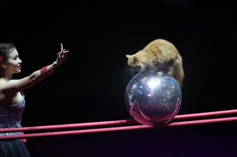 TATYANA ZENKOVICH/ EPA An artist with a cat performs during the dress rehearsal of a new show