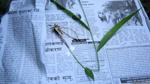 L M Salazar/Crop Trust Researchers are collecting wild relatives of crops in Nepal