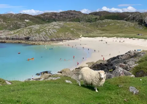 Alex Grant Achmelvich Bay