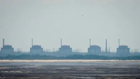 Reuters Zaporizhzhia nuclear power plant