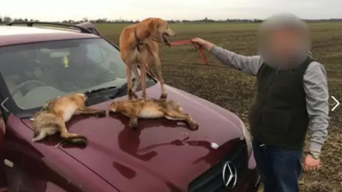 Facebook Hare courser