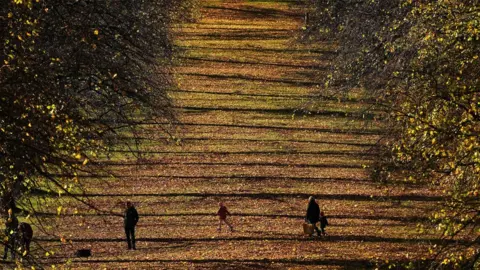 Brian Lawless People walk among the autumn leaves in the Stormont Estate on 28 October 2022