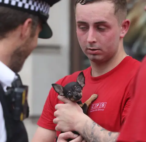 LFB Firefighter holding small dog