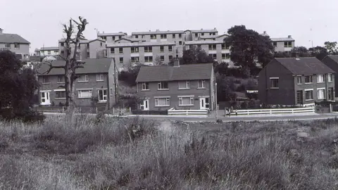 Houses and waste ground at Springfield Park