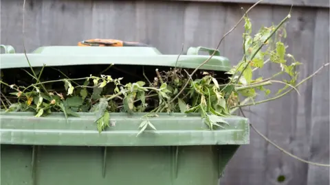 Gettty Green wheelie bin