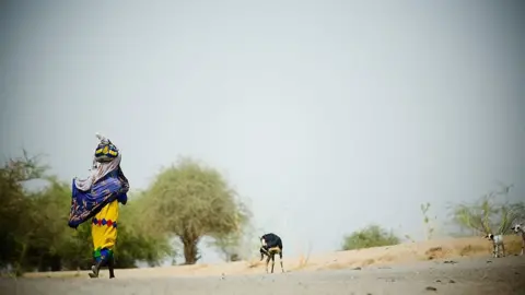 Getty Images A woman walks near the diminishing waters of Lake Chad in 2007