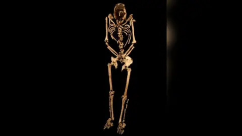 Albion Archaeology Skeleton of crucified man