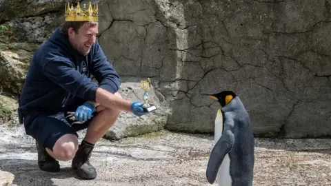 Cotswold House Photography Head keeper Alistair Keen handing Spike the penguin his trophy