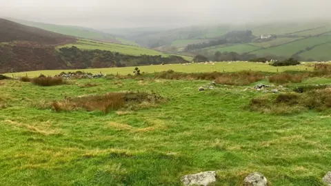 David Bellamy Land at Creg y Cowin