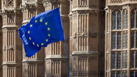 Getty Images EU flag