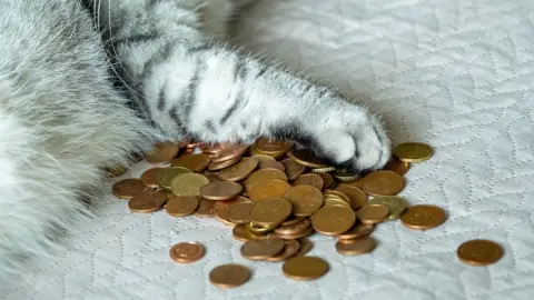 Sandris Veveris A cat's paw on a pile of coins