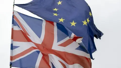 Steve Parsons/PA Wire File photo dated 12/3/2019 of Union and EU flags flying outside the Palace of Westminster, London