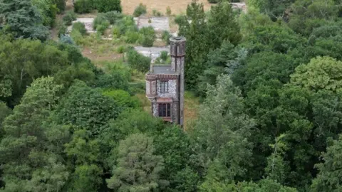 SAVE Britain's Heritage Thorpe Tower