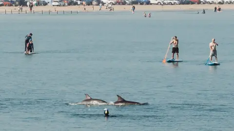 Alison Hill Allan Bogle put on his snorkelling gear to swim with dolphins in Portstewart