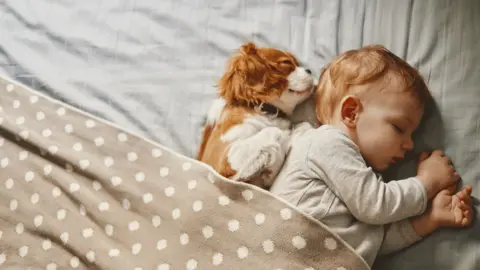 Getty Images Baby and dog sleeping