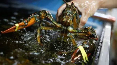 Reuters Lobster in Beijing imported from US