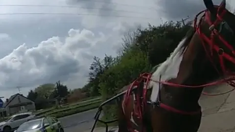 Essex Police/Facebook A horse and trap