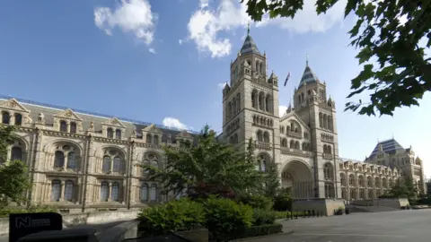 Trustees of the Natural History Museum, London Natural History Museum, London