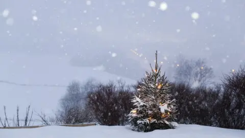 Getty Images Christmas tree in Norway