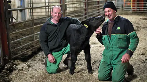 Grace Tait Osborne Calf rescue