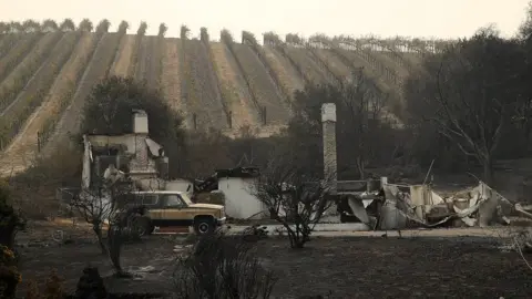 Getty Images A burned out home sits next a vineyard after an out of control wildfire moved through the area on October 9, 2017 in Sonoma, California. Tens of thousands of acres and dozens of homes and businesses have burned in widespread wildfires that are burning in Napa and Sonoma counties.