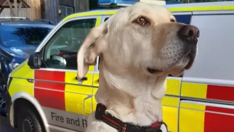 Essex Fire and Rescue Bailey