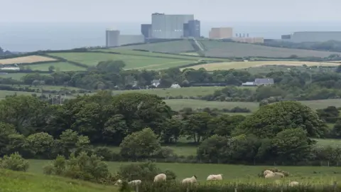 Getty Images Wylfa Newydd in the distance - with fields full of sheep in the foreground