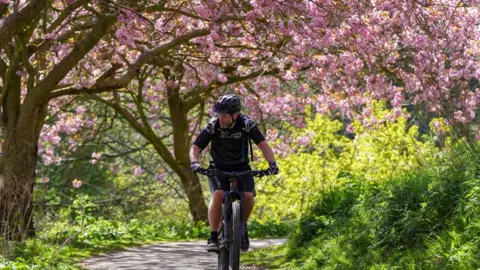 Getty Images Man cycling under tree blossoms