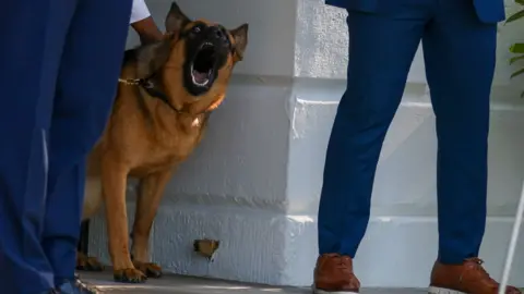 Getty Images Commander seen barking as Mr Biden departs the White House on 25 June 2022