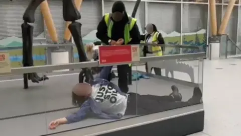 Just Stop Oil Protesters and security staff at Dippy exhibit