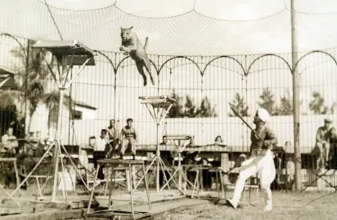 Mahendra Dhotre Collection Damoo Dhotre performing at a circus