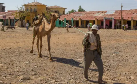 Getty Images A man leads a camel in the Muslim area of Aksum, Ethiopia