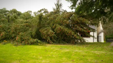 A bungalow in Oyne, Aberdeenshire was narrowly missed by a fallen tree - though it crashed through the porch