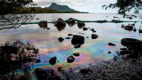 Getty Images A picture taken on August 15, 2020 shows iridescence on the water at the beach in Petit Bel Air.